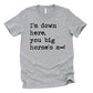 I'm Down Here You Big Horse's A** Unisex Tee