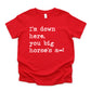 I'm Down Here You Big Horse's A** - Short Sleeve Kids Shirt