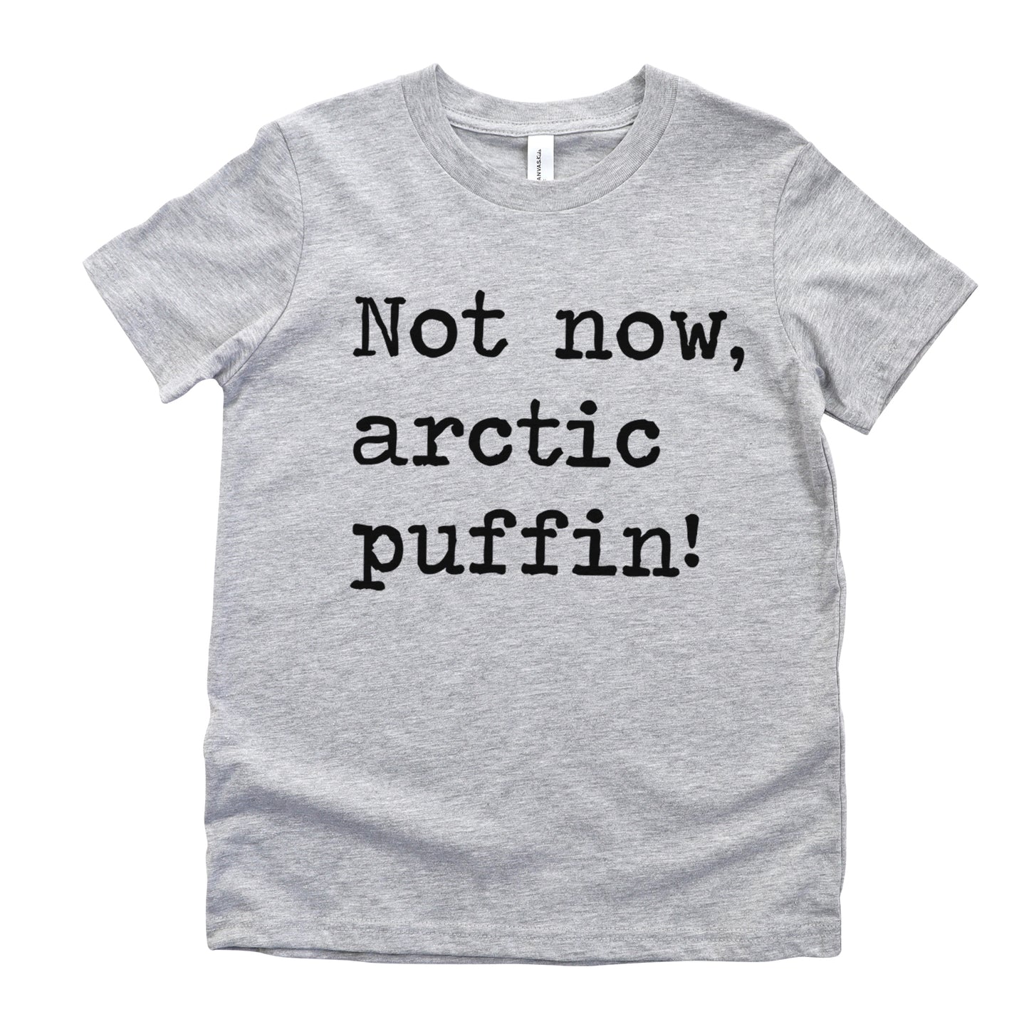 Not Now Arctic Puffin - Short Sleeve Kids Shirt